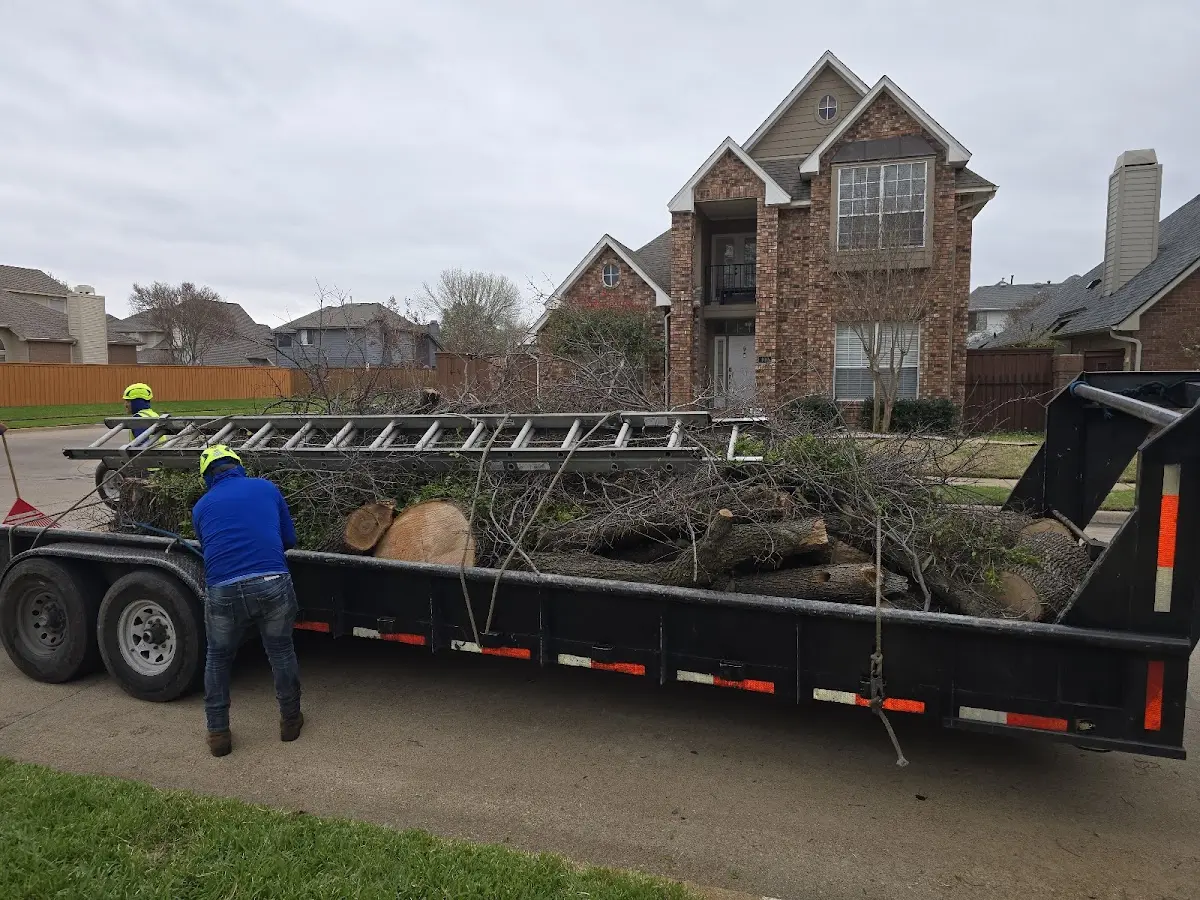 Expert Tree Fertilization with proper safety equipment in Lafayette